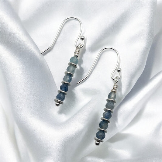 Simple Kyanite Dangle Earrings